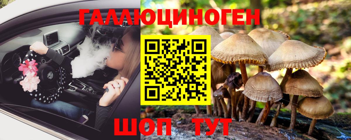 Галлюциногенные грибы прущие грибы Воронеж