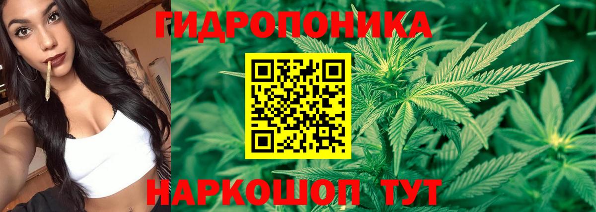 Шишки марихуана гибрид Воронеж